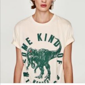 Zara | Dinosaur Appliqué T-shirt - Size M